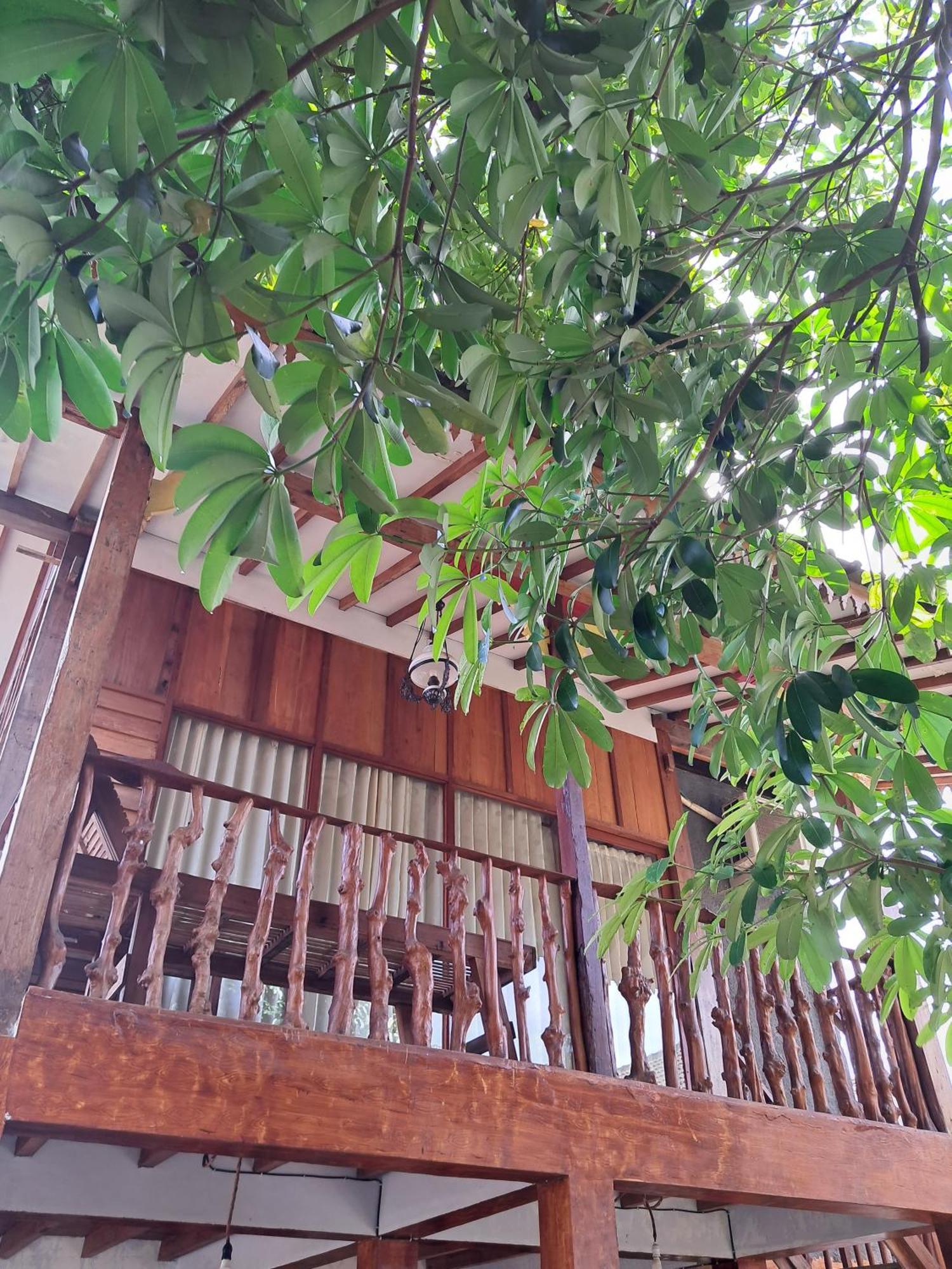 Diana'S Homestay バニュワンギ エクステリア 写真